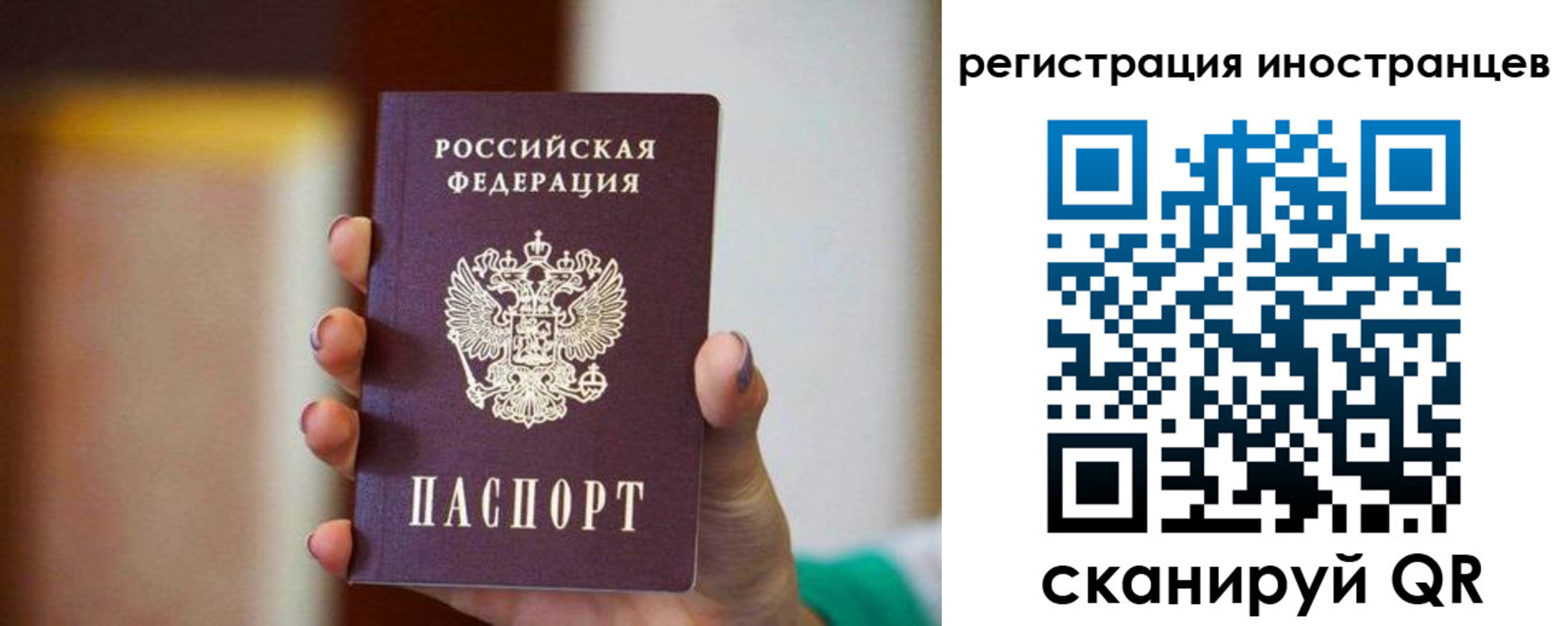 купить прописку в Коле