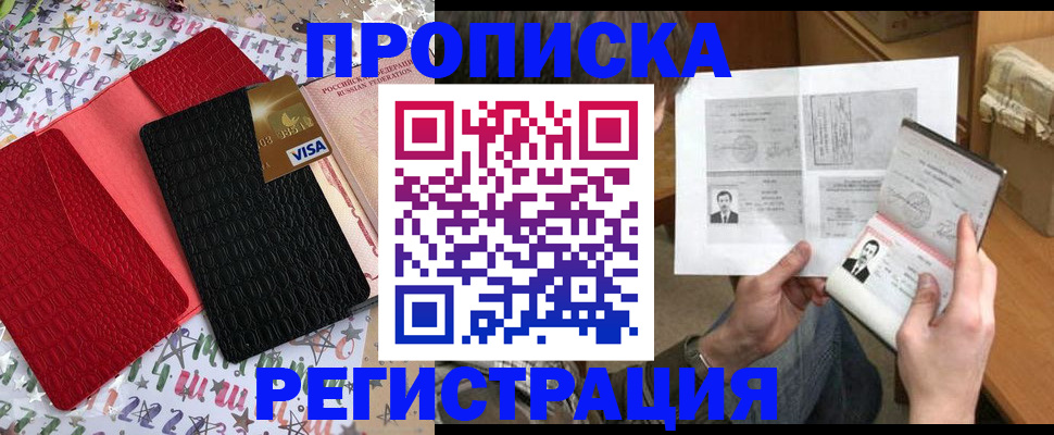 прописка поиск в Коле